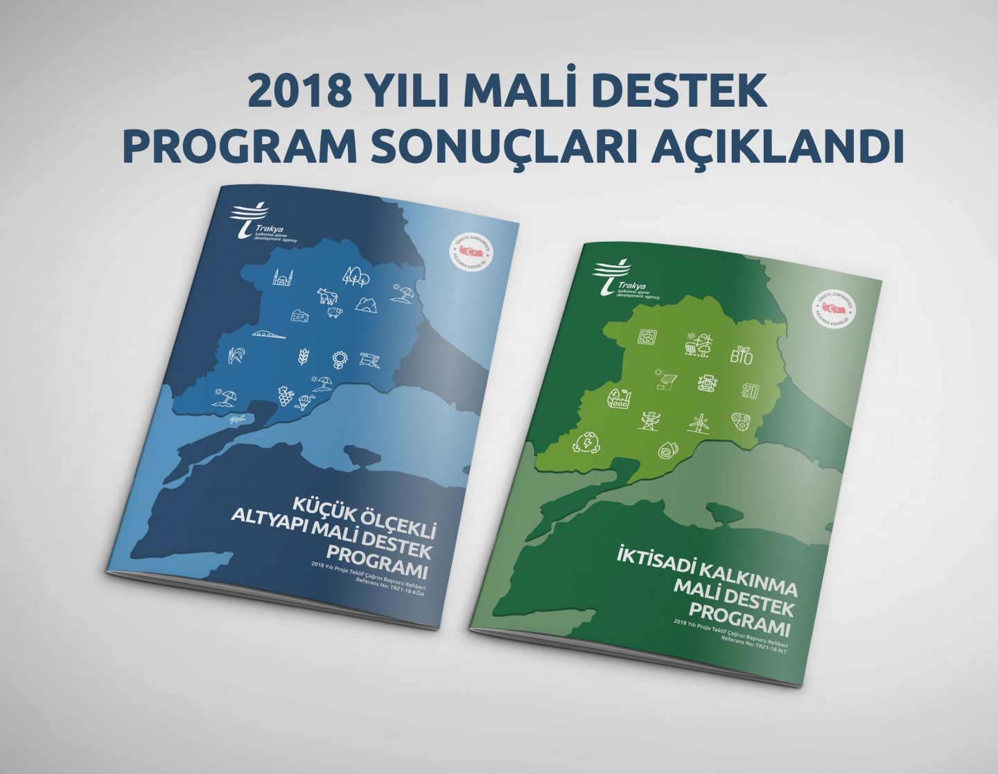 Mali sonuç Mali sonuç
